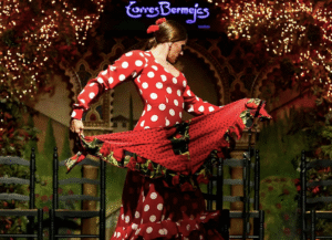 Combo Royal Palace of Madrid Skip-the-Line Tickets + Torres Bermejas Flamenco Show 2