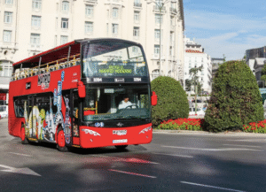 Combo (Save 8%) Madrid Panoramic Bus Tour + Flamenco Show at Tablao La Carmela Tickets 4