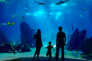 Barcelona Aquarium Skip-the-Line Tickets