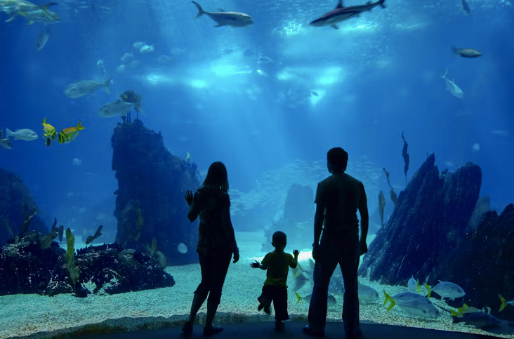 Barcelona Aquarium Skip-the-Line Tickets
