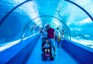 Barcelona Aquarium Skip-the-Line Tickets