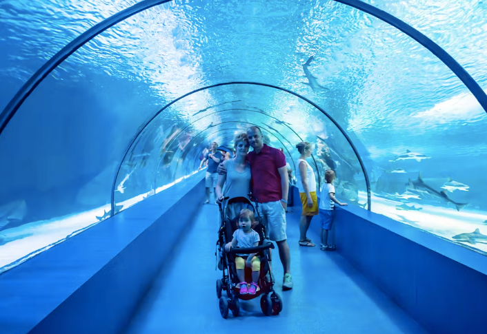 Barcelona Aquarium Skip-the-Line Tickets
