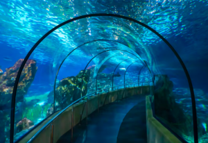 Barcelona Aquarium Skip-the-Line Tickets