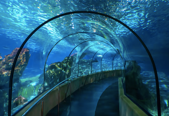 Barcelona Aquarium Skip-the-Line Tickets
