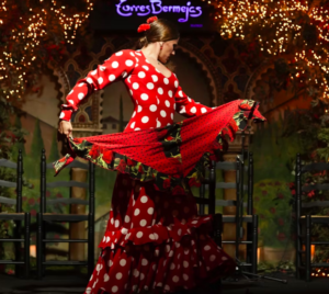 Madrid: Flamenco Show at Tablao Torres Bermejas
