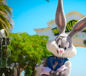 Parque Warner Madrid: Entry Ticket
