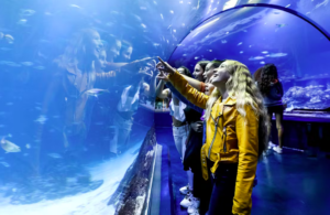 Atlantis Aquarium Madrid Tickets