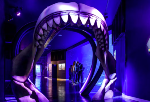 Atlantis Aquarium Madrid Tickets